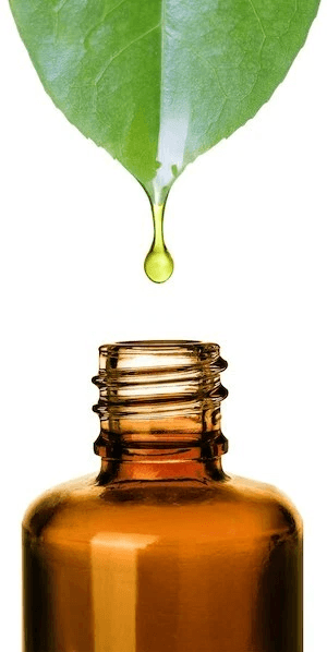 Organic Batana Oil Pure Natural Hair Growth  Skin Moisturizer 34oz ColdPressed Unrefined MultiPurpo 1