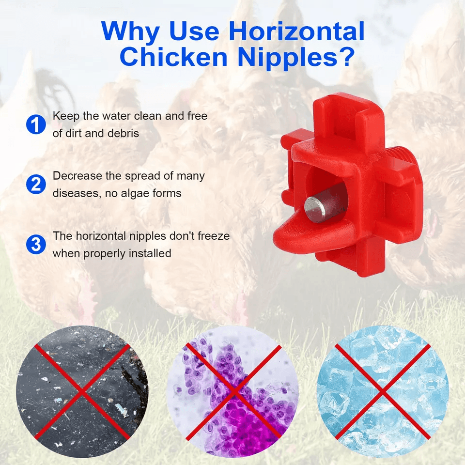 Chicken Nipples Automatic Poultry Waterer Drinker For Hen Duck Quail 4