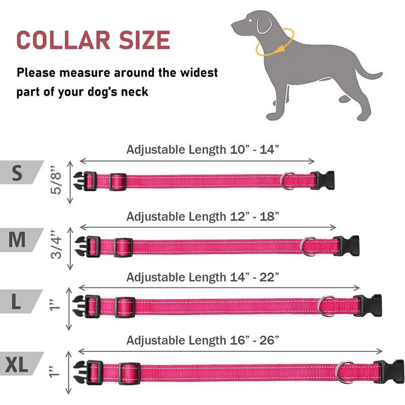 Glow Go Reflective Dog Collar Adjustable Nylon Pet Collar  Leash For Nighttime Safety 2