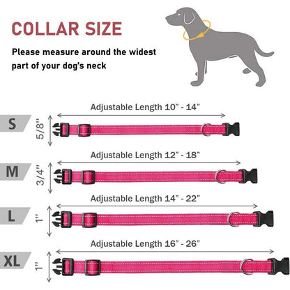 Glow Go Reflective Dog Collar Adjustable Nylon Pet Collar  Leash For Nighttime Safety 2