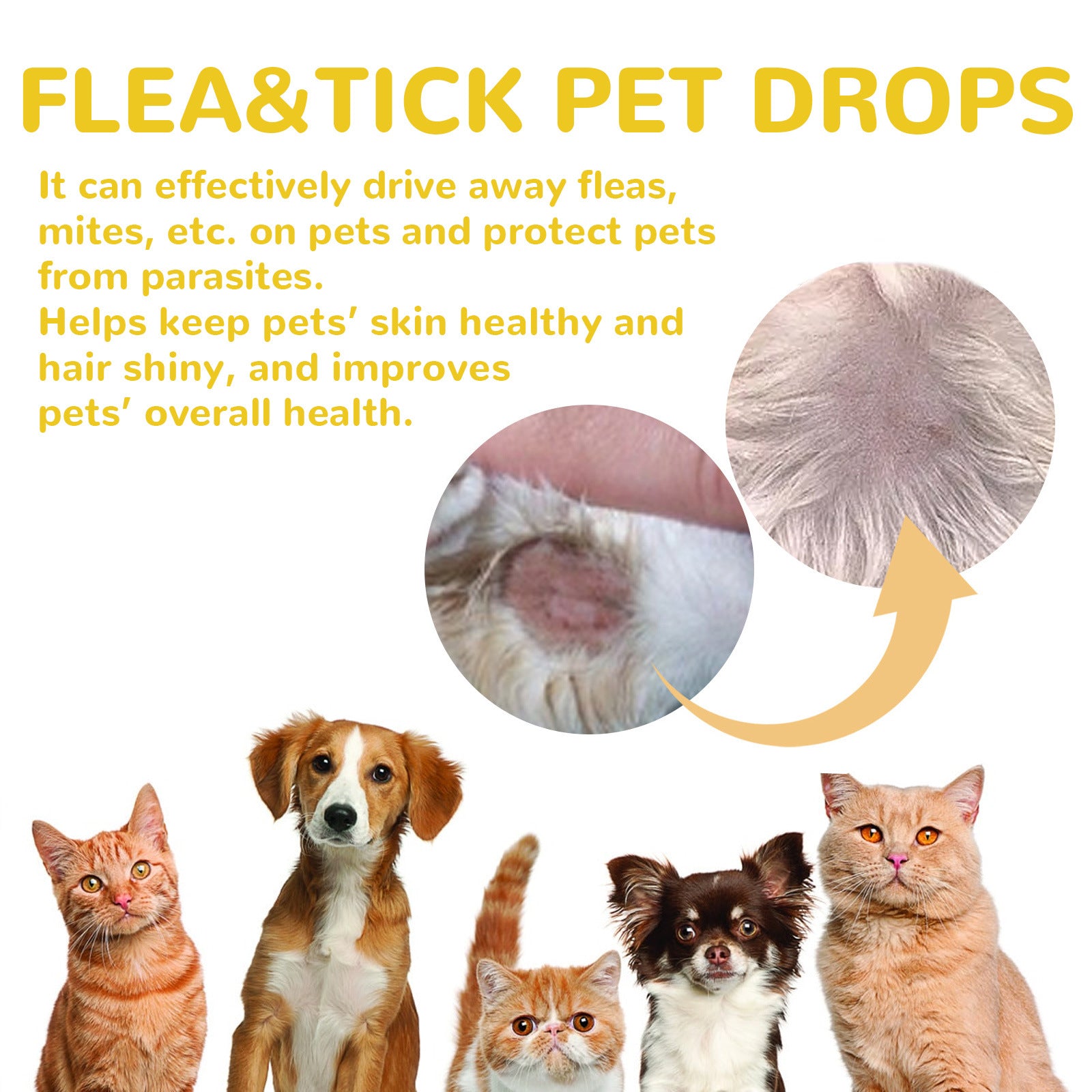 Vet Recommended Flea Drops For Cats Long Lasting Flea Tick  Mite Prevention Skin Soothing  Dewormin 2
