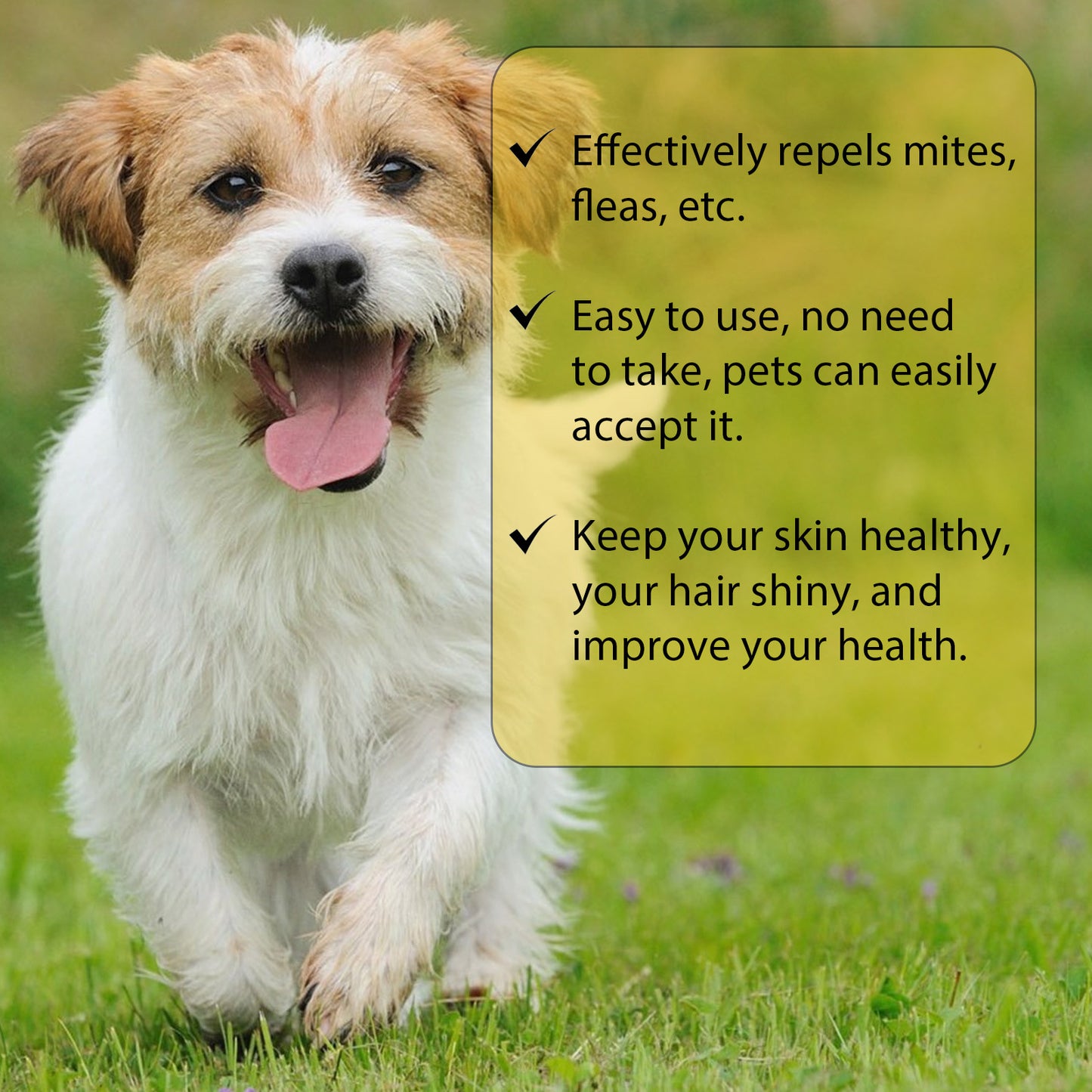Vet Recommended Flea Drops For Cats Long Lasting Flea Tick  Mite Prevention Skin Soothing  Dewormin 3