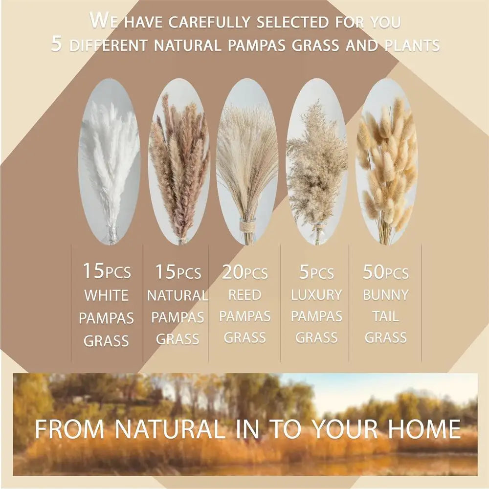 105pcs Natural Dried Flowers Pampas Floral Bouquet Boho Country Home Decoration Rabbit Tail Grass R 2