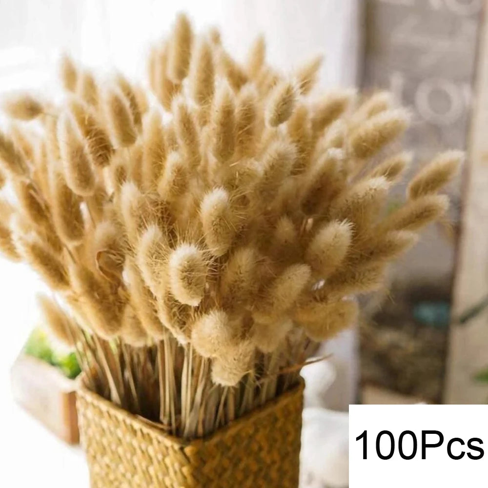 105pcs Natural Dried Flowers Pampas Floral Bouquet Boho Country Home Decoration Rabbit Tail Grass R 12