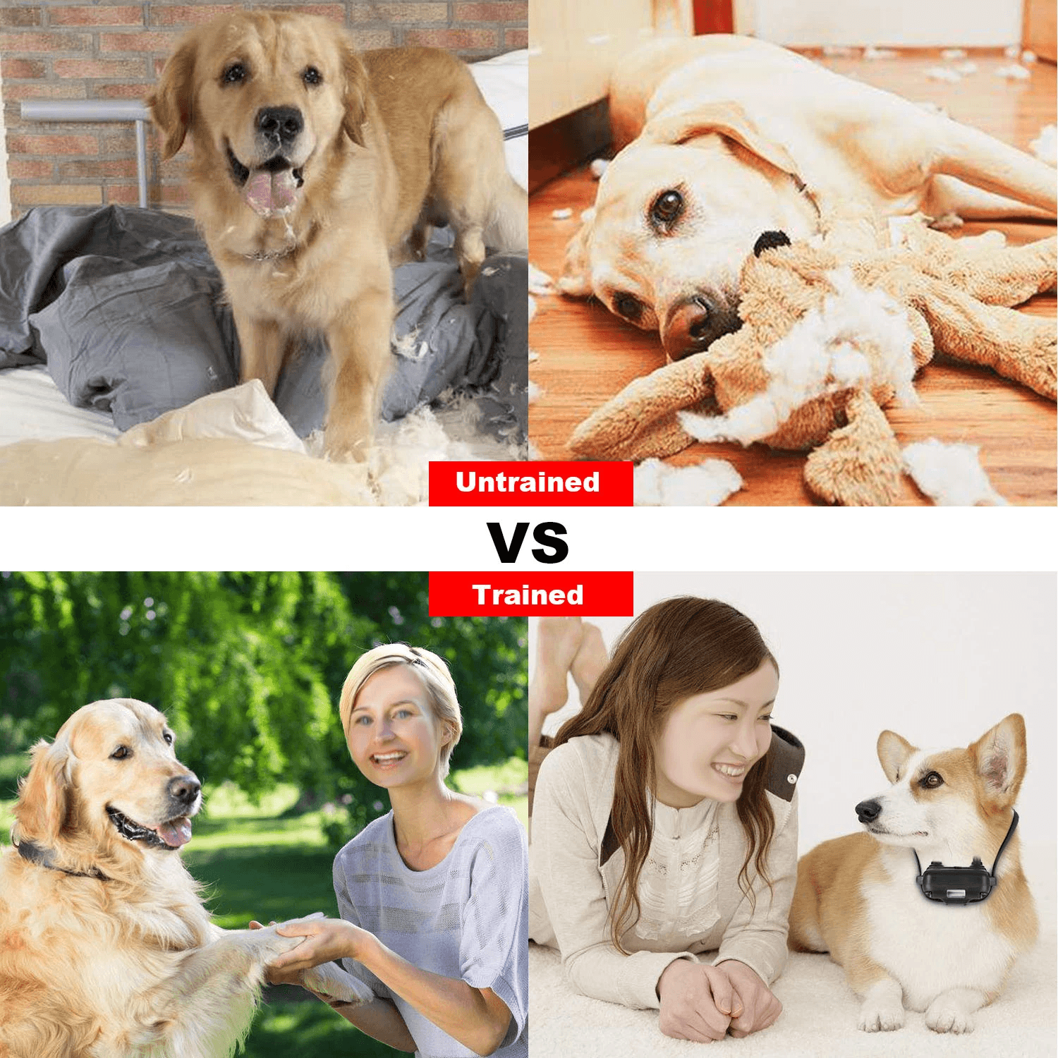 2600FT Waterproof Dog Shock Collar With Remote Electric Training Collar For Large Dogs Rechargeable 4