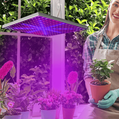 Full Spectrum LED Grow Light For Indoor Plants Hydroponic Panel Lamp For Vegetative  Flowering Grow 2
