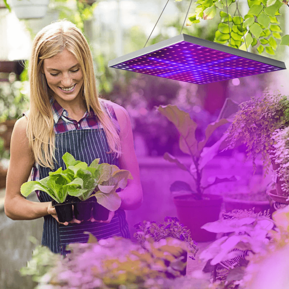 Full Spectrum LED Grow Light For Indoor Plants Hydroponic Panel Lamp For Vegetative  Flowering Grow 1