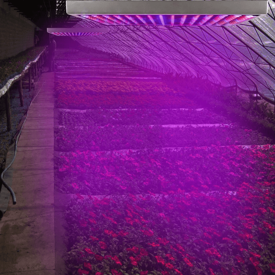 Full Spectrum LED Grow Light For Indoor Plants Hydroponic Panel Lamp For Vegetative  Flowering Grow 5