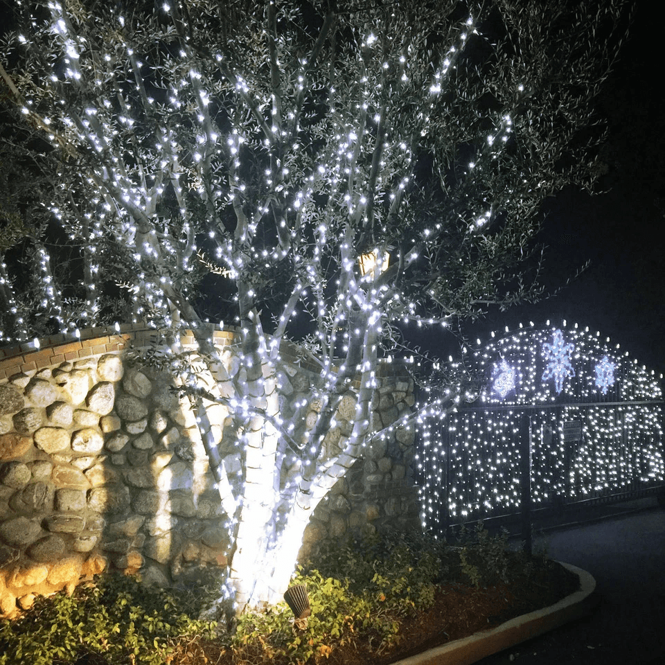 LED Solar Powered String Fairy Lights Outdoor Garden Christmas Decor With Modes Waterproof Wire For 4