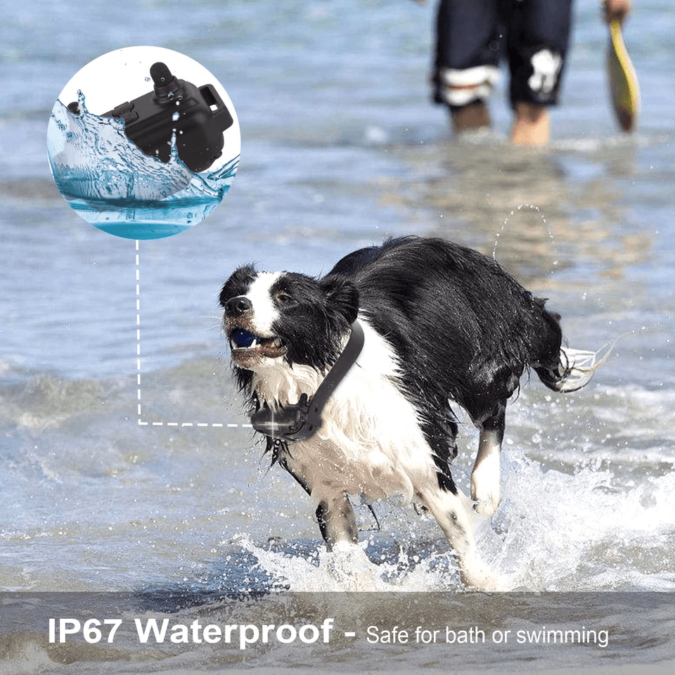 Dog Training Collar Rechargeable Remote Vibration Shock Beep Pet Trainer With Waterproof Receiver   2