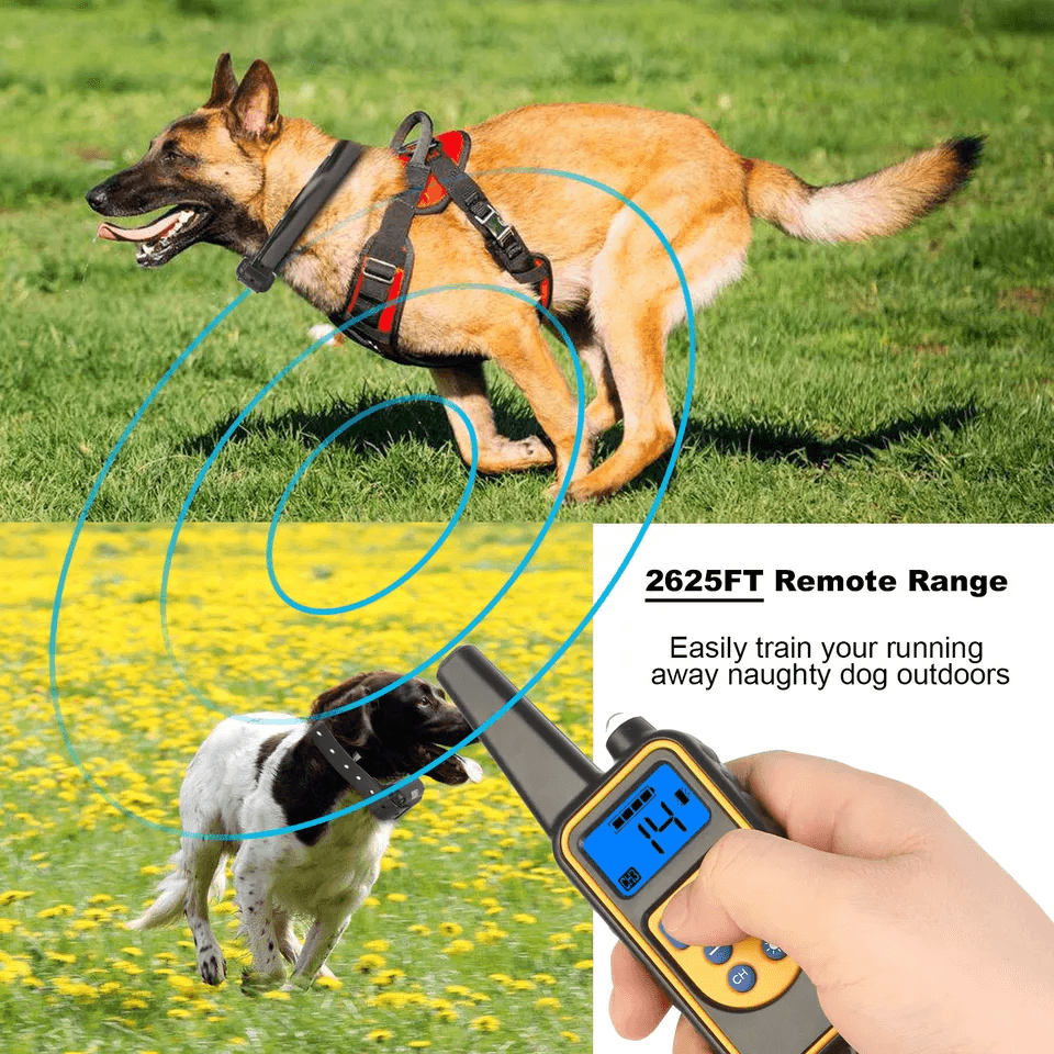 Dog Training Collar Rechargeable Remote Vibration Shock Beep Pet Trainer With Waterproof Receiver   1