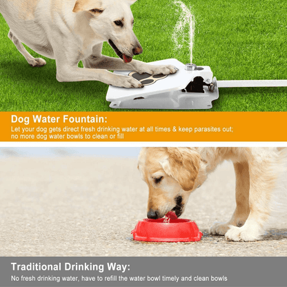 Outdoor Pet Water Fountain With StepOn Pedal Dog Valve Dispenser System For Clean Fresh Drinking Wa 6