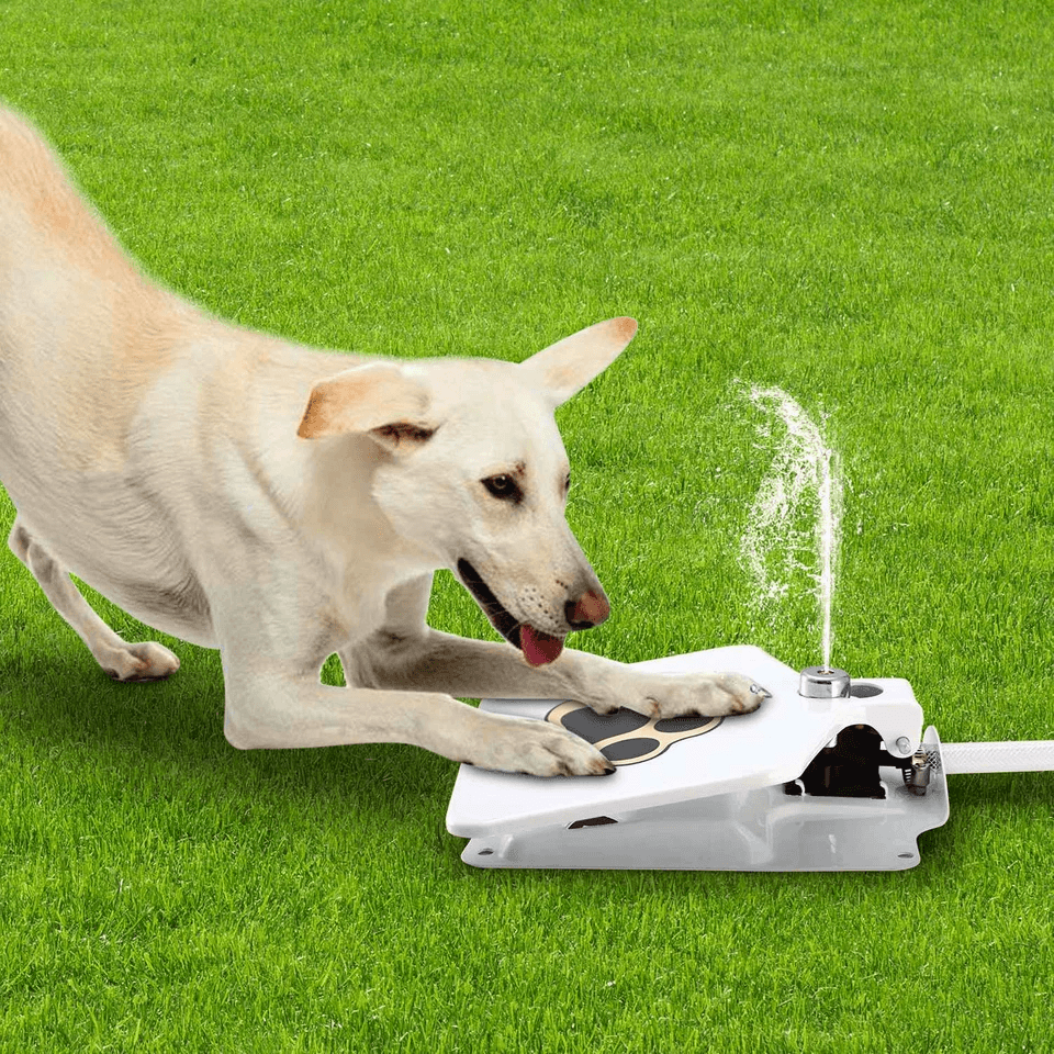 Outdoor Pet Water Fountain With StepOn Pedal Dog Valve Dispenser System For Clean Fresh Drinking Wa 3
