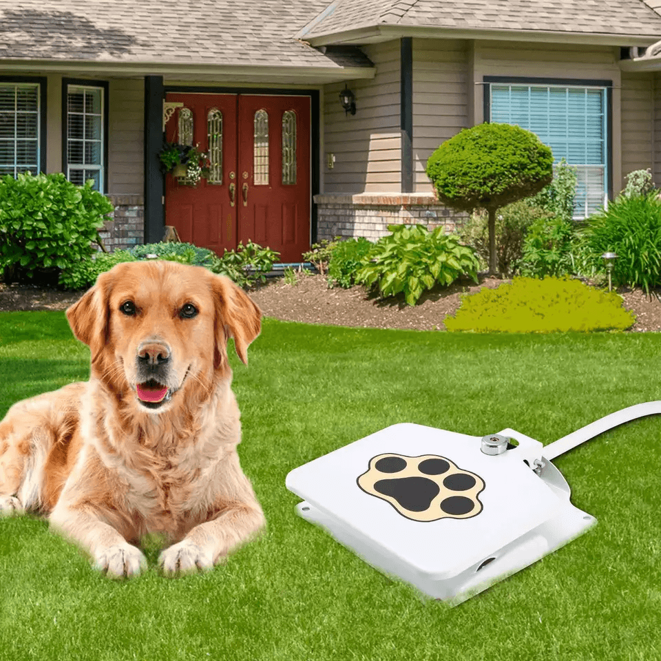 Outdoor Pet Water Fountain With StepOn Pedal Dog Valve Dispenser System For Clean Fresh Drinking Wa 5