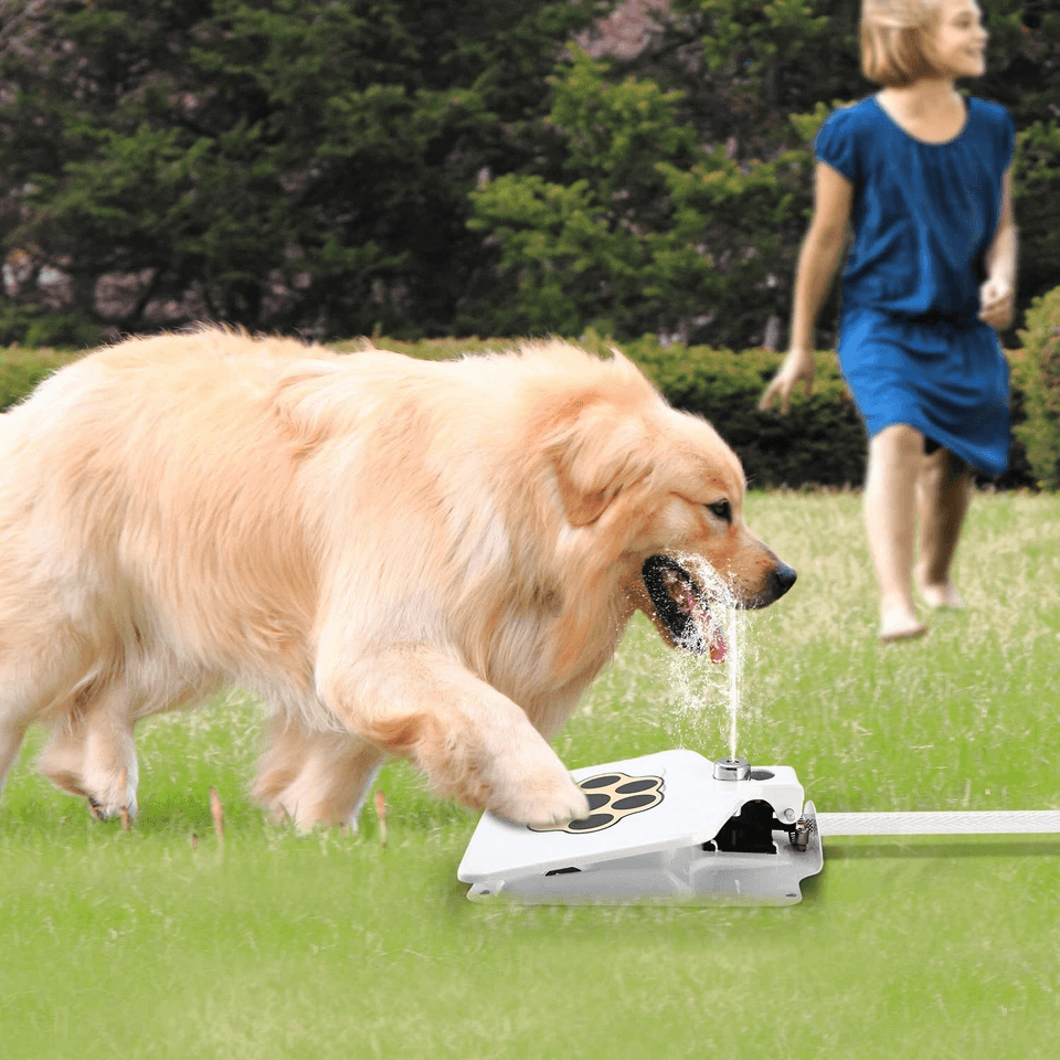 Outdoor Pet Water Fountain With StepOn Pedal Dog Valve Dispenser System For Clean Fresh Drinking Wa 4