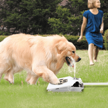 Outdoor Pet Water Fountain With StepOn Pedal Dog Valve Dispenser System For Clean Fresh Drinking Wa 4