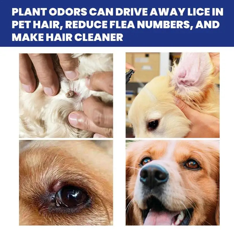 Pet Tick Spray For Dogs  Cats Natural Flea  Lice Repellent Safe Insecticide For Home Use 2