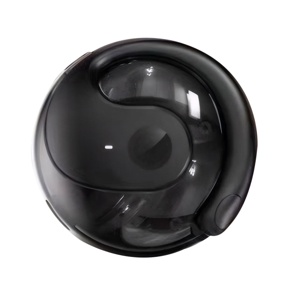 AIPowered RealTime Translation Earphones Bluetooth Wireless 144 Languages Travel  Business Translat 7