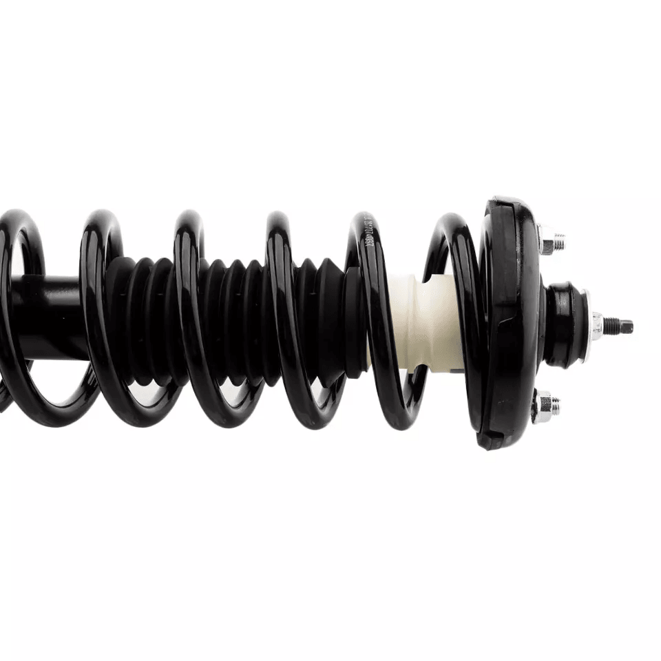 Pair Rear Kit Struts For Honda Accord Shock Absorbers Replacement 3