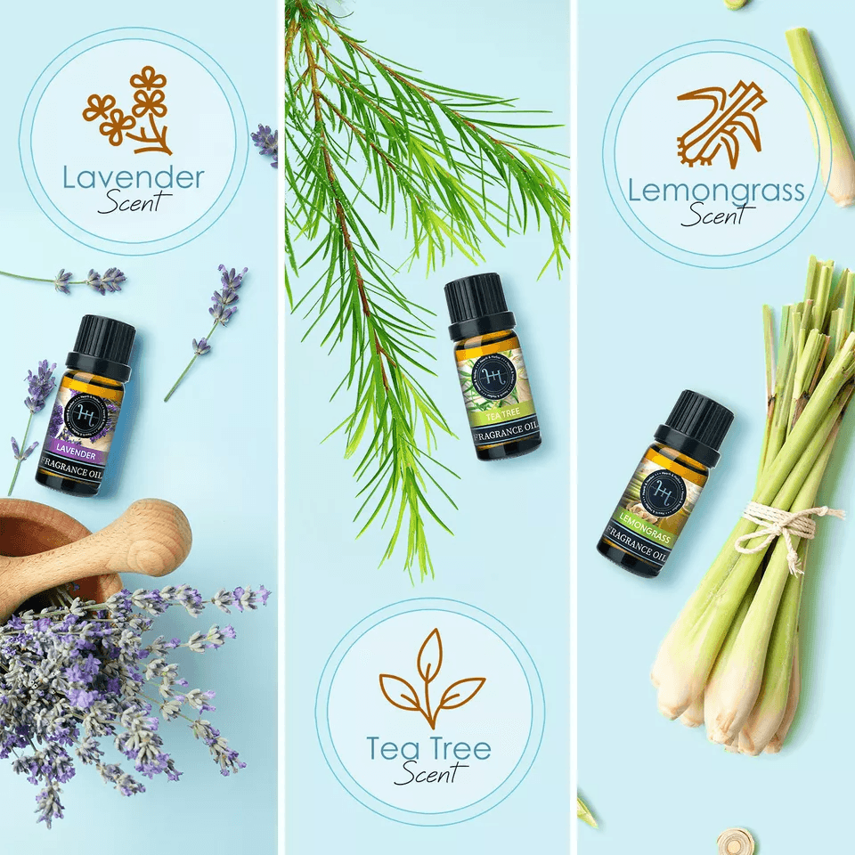 Premium Grade Fragrance Oil For Candle Making Soap  Bath Scented Oils Set With Lavender Peppermint  5