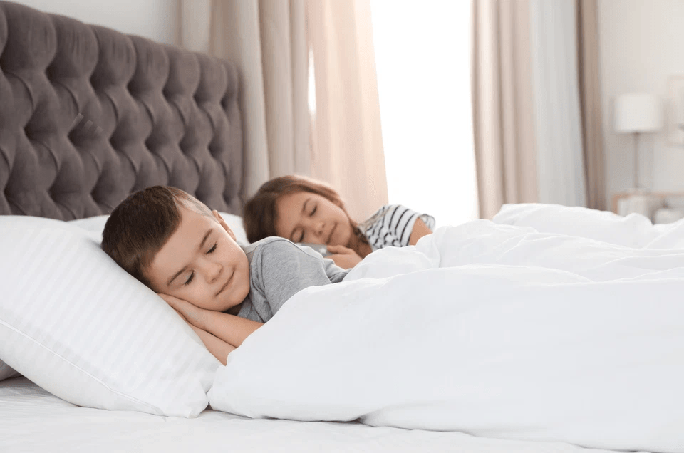 All Season White Down Alternative Comforter Ultra Soft Quilted Duvet Insert 3