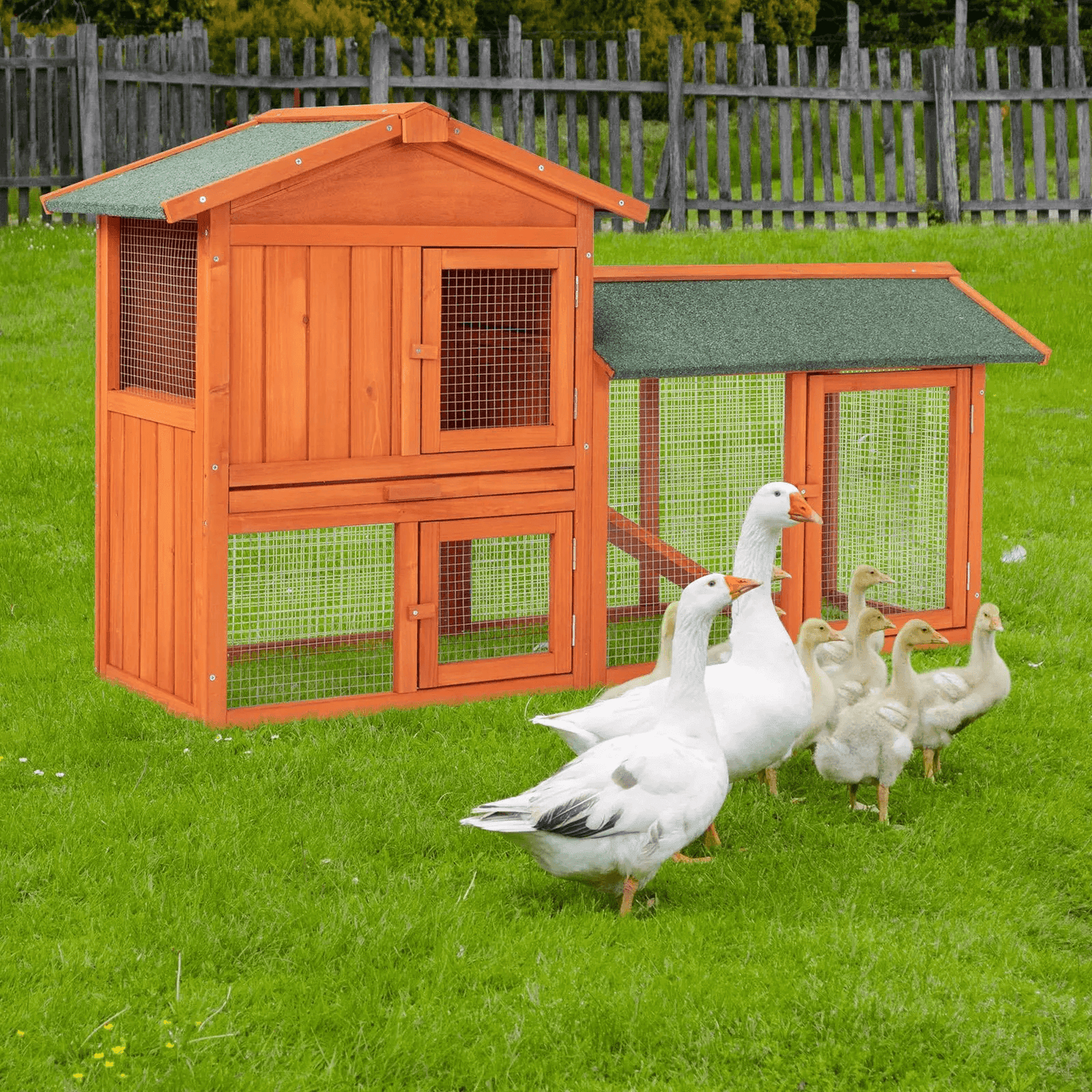 Premium Wooden Chicken Coop Hen House With Nesting Box  Run Ideal For Backyard Poultry 1