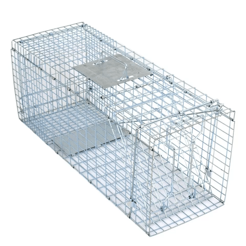 Heavy Duty Folding Live Animal Trap Humane Raccoon Cat  Small Animal Cage 1