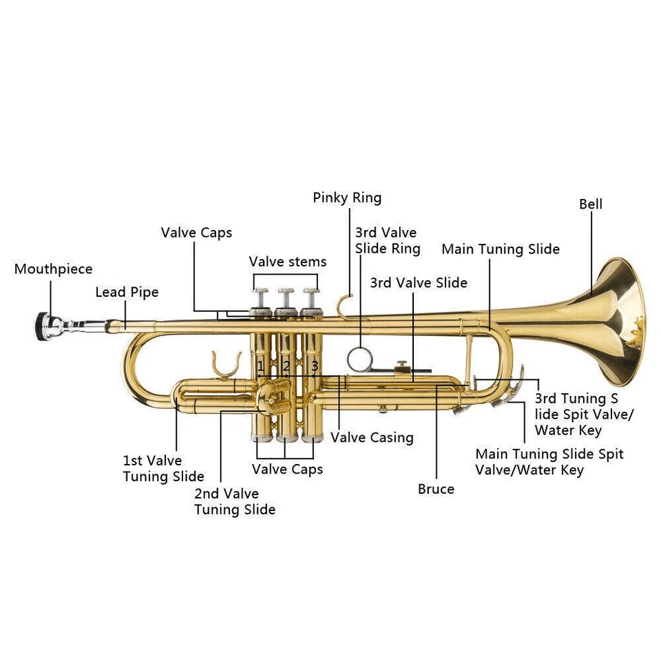 Gold Lacquer Bb Trumpet For Beginners With Durable Case Perfect For Student Bands And School Music  8