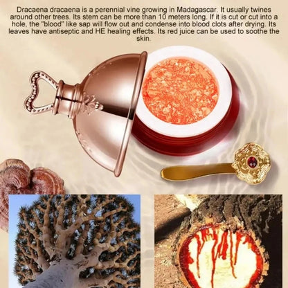 Dragons Blood Retinol Face Cream Placenta Essence for Brightening Lifting  Firming Skin Care