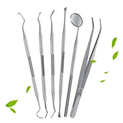 Professional Stainless Steel Dentist Oral Tools Set, Mirror, Flossing, Tartar Removal & Cleaning Kit