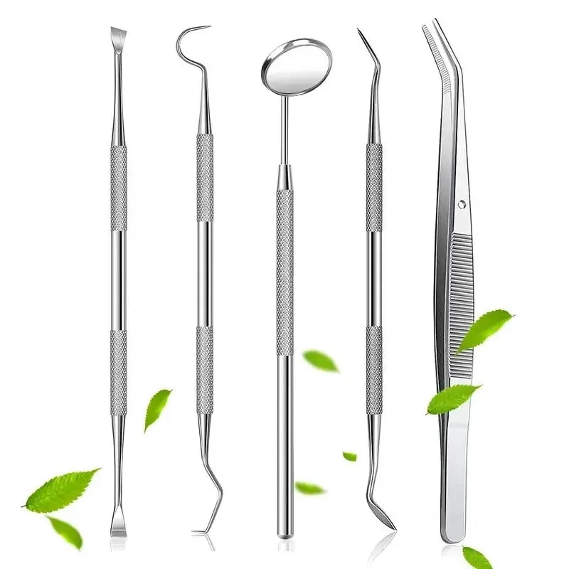 Professional Stainless Steel Dentist Oral Tools Set Mirror Flossing Tartar Removal  Cleaning Kit