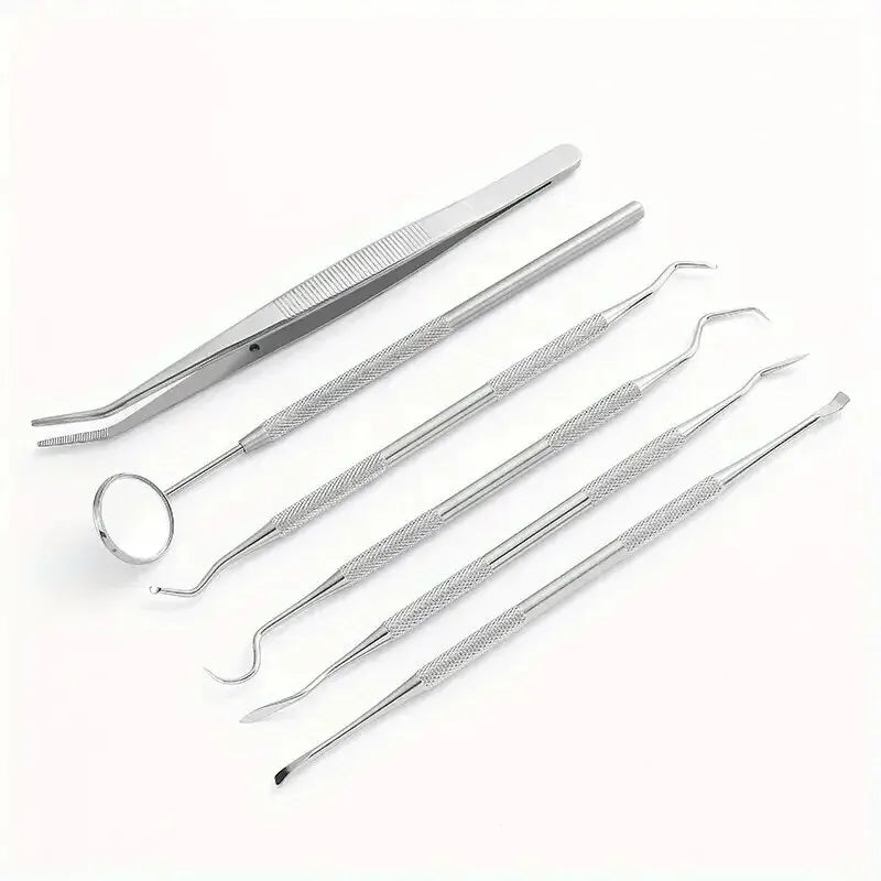 Professional Stainless Steel Dentist Oral Tools Set Mirror Flossing Tartar Removal  Cleaning Kit