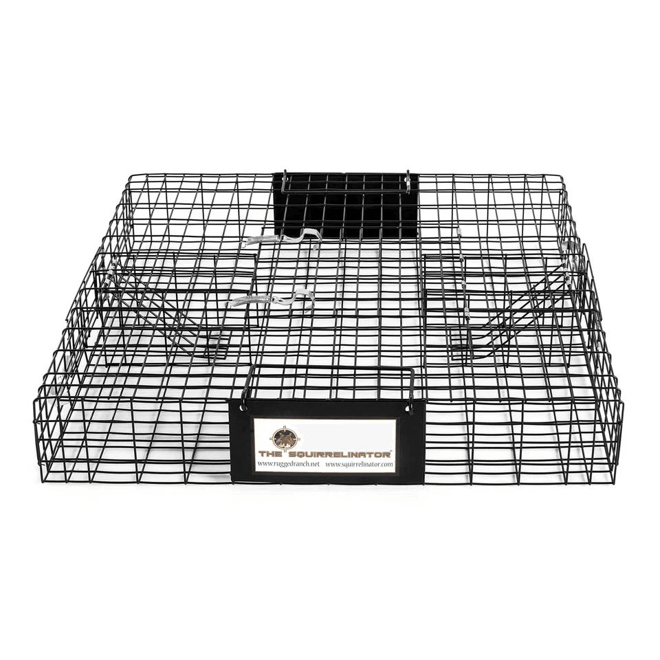 Humane Rugged Ranch SQRTO Squirrelinator Trap, Large CatchMor Live Animal Cage with Dual Doors for Squirrels, Rodents