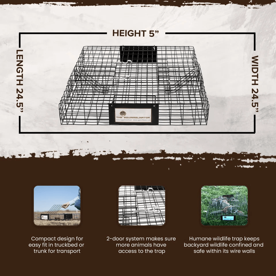 Humane Rugged Ranch SQRTO Squirrelinator Trap Large CatchMor Live Animal Cage With Dual Doors For S 2