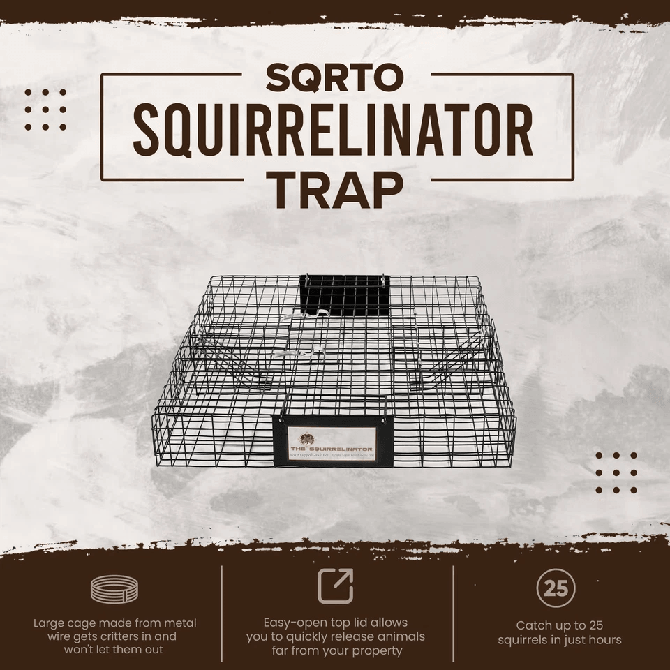 Humane Rugged Ranch SQRTO Squirrelinator Trap Large CatchMor Live Animal Cage With Dual Doors For S 1