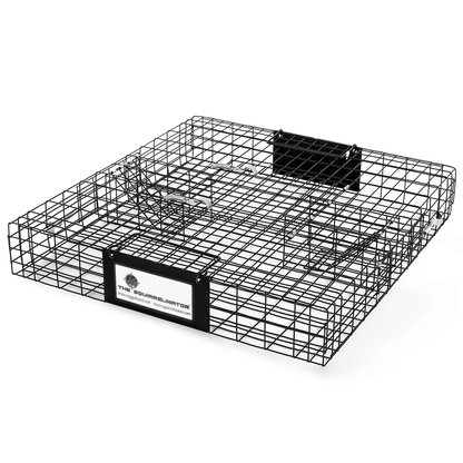 Humane Rugged Ranch SQRTO Squirrelinator Trap Large CatchMor Live Animal Cage With Dual Doors For S 10