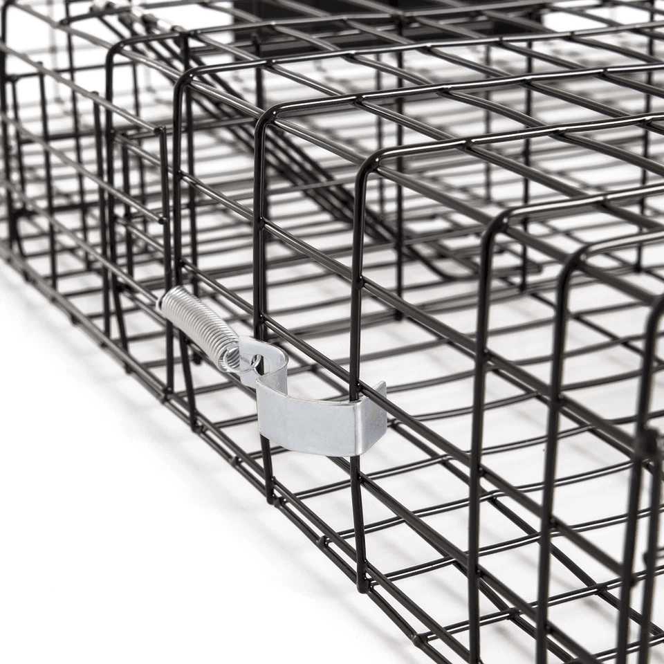 Humane Rugged Ranch SQRTO Squirrelinator Trap Large CatchMor Live Animal Cage With Dual Doors For S 8