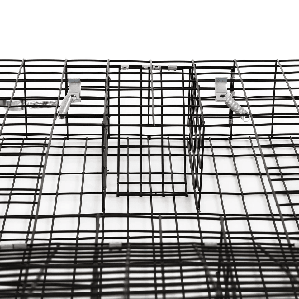 Humane Rugged Ranch SQRTO Squirrelinator Trap Large CatchMor Live Animal Cage With Dual Doors For S 9