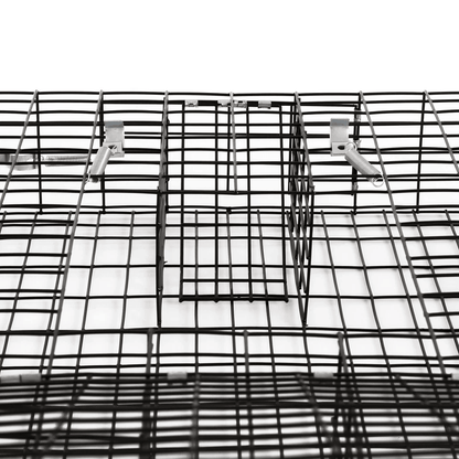 Humane Rugged Ranch SQRTO Squirrelinator Trap Large CatchMor Live Animal Cage With Dual Doors For S 9