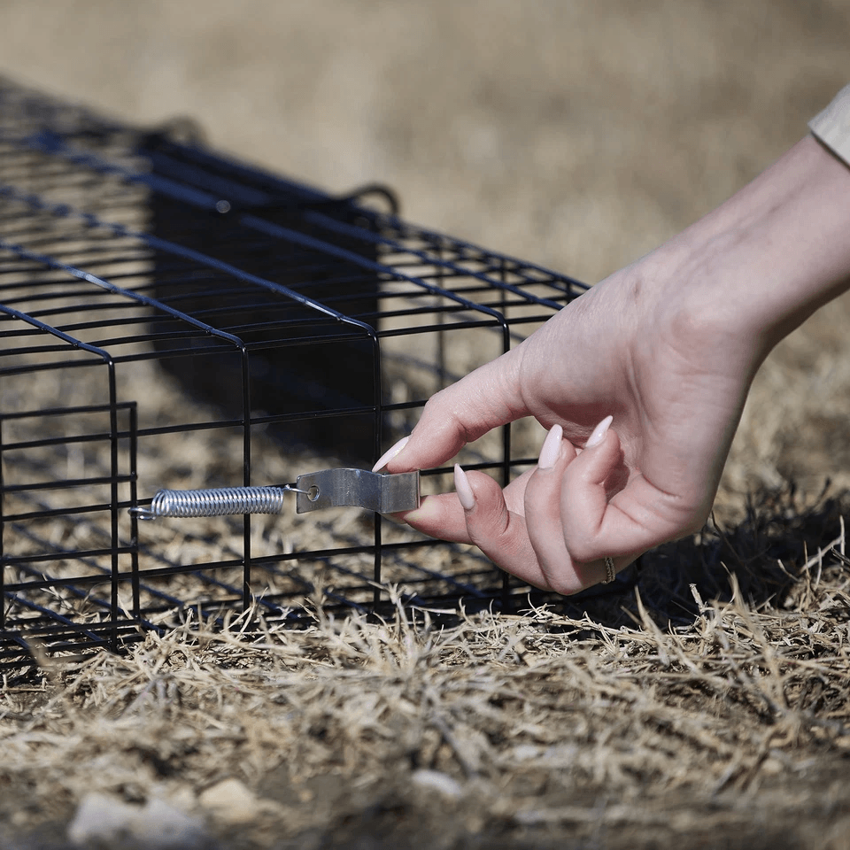 Humane Rugged Ranch SQRTO Squirrelinator Trap Large CatchMor Live Animal Cage With Dual Doors For S 4