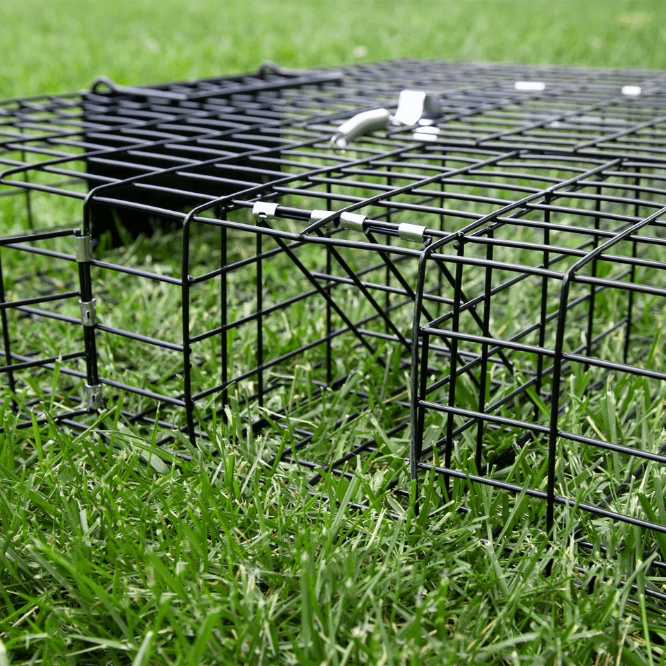 Humane Rugged Ranch SQRTO Squirrelinator Trap Large CatchMor Live Animal Cage With Dual Doors For S 7