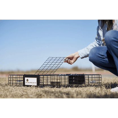 Humane Rugged Ranch SQRTO Squirrelinator Trap Large CatchMor Live Animal Cage With Dual Doors For S 3