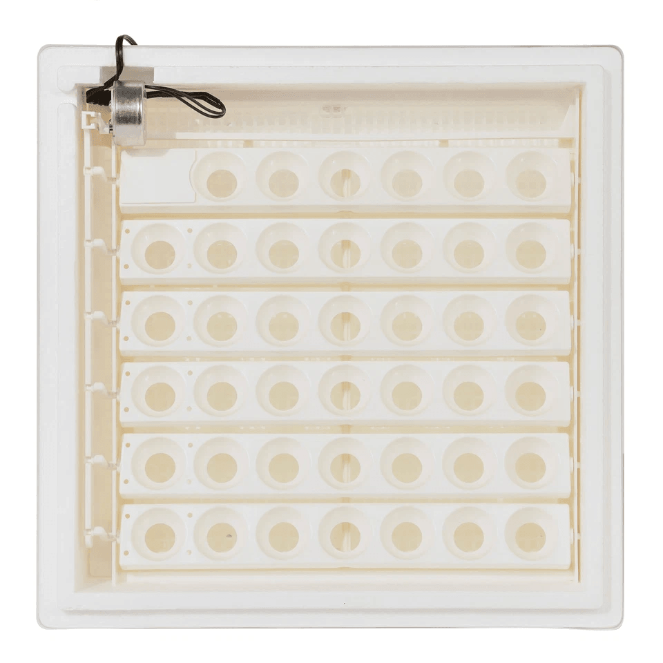 White Digital Air Incubator By Farm Innovators Automatic Egg Turner Egg Hatch LED Display  Candler  7