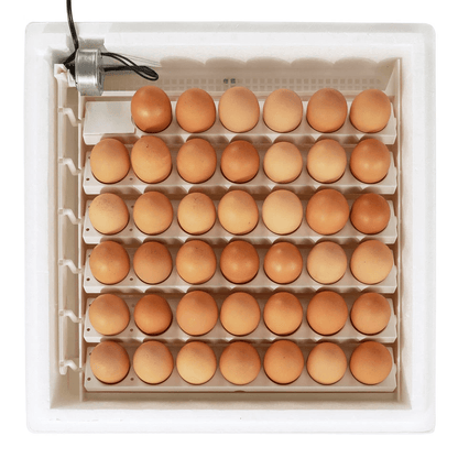 White Digital Air Incubator By Farm Innovators Automatic Egg Turner Egg Hatch LED Display  Candler  5