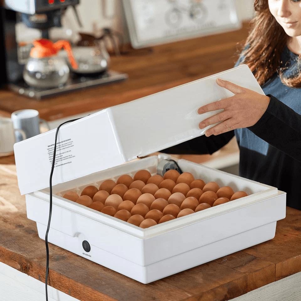 White Digital Air Incubator By Farm Innovators Automatic Egg Turner Egg Hatch LED Display  Candler  4