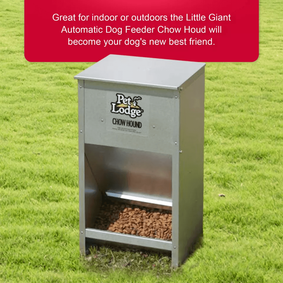 Pet Lodge Dry Food Automatic Steel Dog Feeder  Chow Hound 25 Lb Capacity ChewProof WallMountable 3