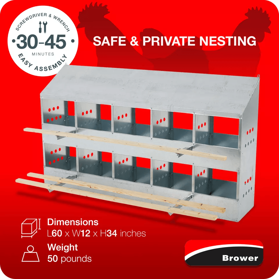 Brower Galvanized Steel 10Hole Poultry Nest  Fits 5060 Hens Durable Chicken Brooding Box For Coop O 6