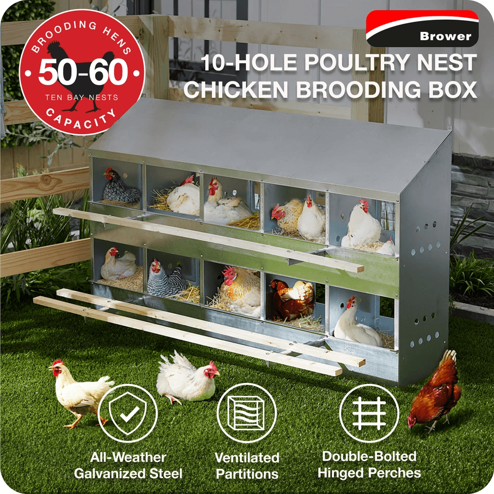 Brower Galvanized Steel 10Hole Poultry Nest  Fits 5060 Hens Durable Chicken Brooding Box For Coop O 7