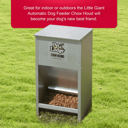 Pet Lodge Automatic Dog Feeder Galvanized Steel ChewProof WallMountable Chow Hound Dry Food Dispens 4