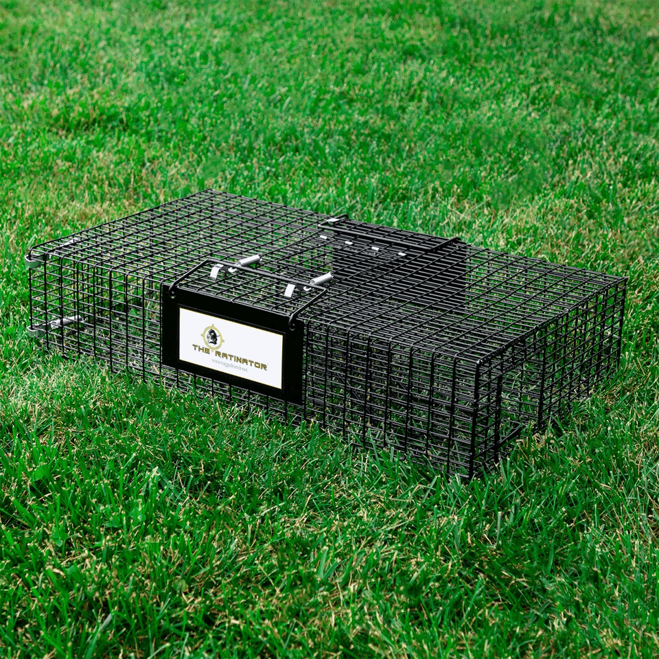 Rugged Ranch RATTR Ratinator Live Rat MultiCatch Animal Metal 2 Door Trap Cage  Humane IndoorOutdoo 5